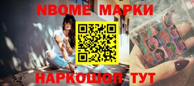 крисы Новокубанск