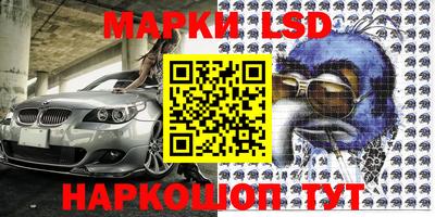крисы Новокубанск