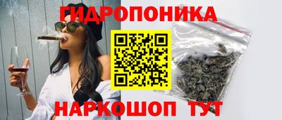 мдма Новодвинск