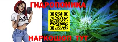 крисы Новокубанск