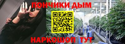 крисы Новокубанск