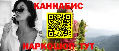 крисы Новокубанск