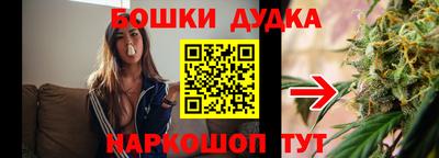 мдма Новодвинск