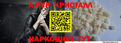 крисы Новокубанск