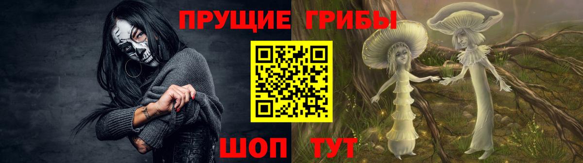 Серов  Псилоцибиновые грибы мухоморы  Вход с VPN 
